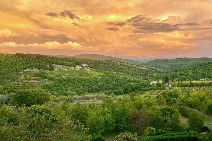 Chianti - Kjør inn i Toscanas solnedgang: Vespa-tur med middag