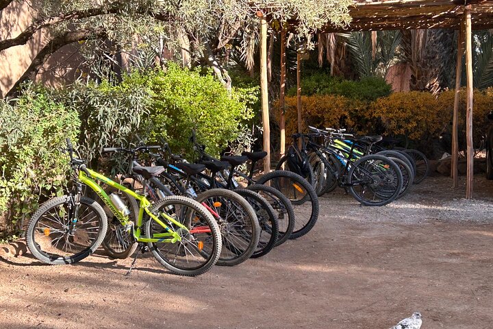 Privater halbtägiger Mountainbike-Ausflug zur Entdeckung der Skoura Palmeraie