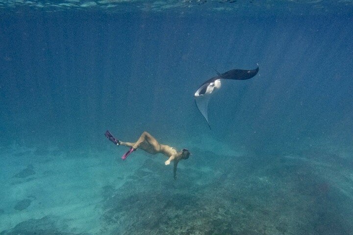 Dagsutflykt till Nusa Penida Snorkling och landstur