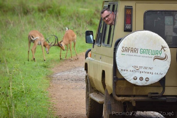 Mikumi Safari Tour: vol aller-retour d'une journée depuis Zanzibar