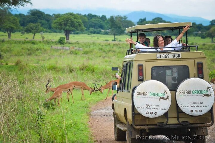 Mikumi Safari Tour: vol aller-retour d'une journée depuis Zanzibar