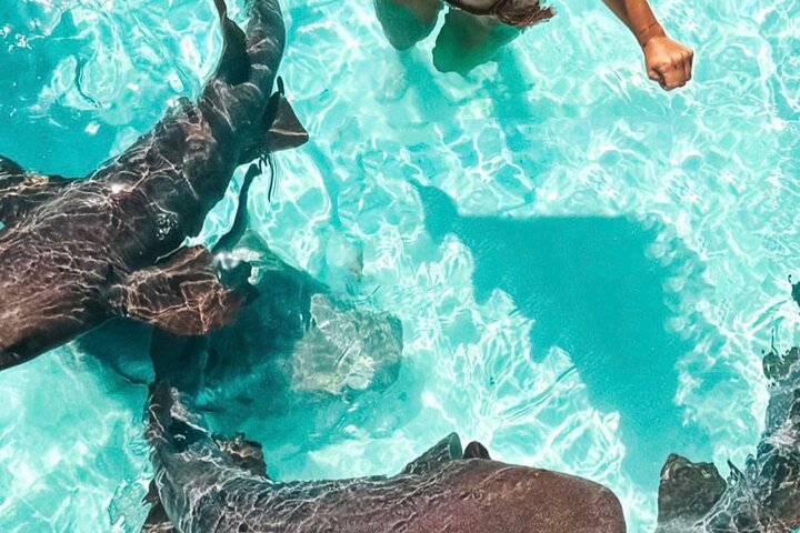 Gran Exuma: Tour en barco privado de saltos de isla con cerdos nadadores