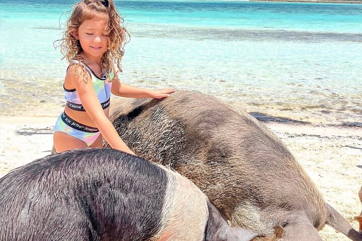 Gran Exuma: Tour en barco privado de saltos de isla con cerdos nadadores