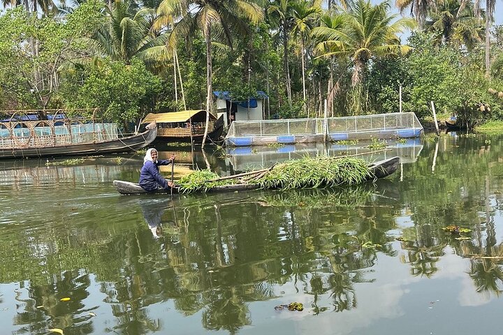 Cochin : Ecoboottocht met lunch door Backwater Village