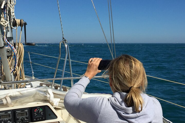 7-dagers cruise i en 12-meters seilbåt