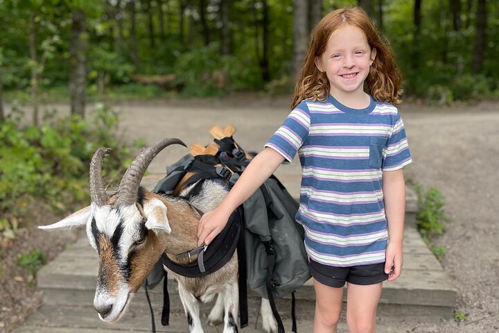 Senderismo con cabras, visita a Beaver Dam y picnic en el bosque de Quebec