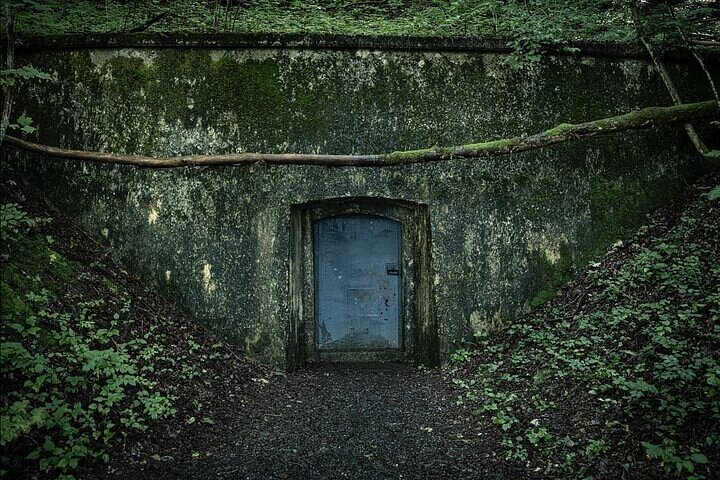 Ørneredet Berchtesgaden privat heldags historisk tur fra andre verdenskrig
