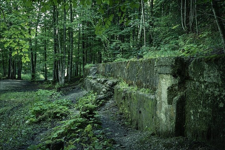 Ørneredet Berchtesgaden privat heldags historisk tur fra andre verdenskrig