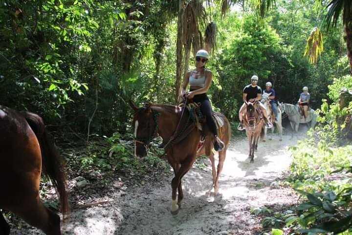 Paardrijavontuur van een halve dag met cenotes in de jungle
