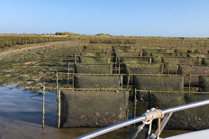4 Haltestellen | 3 Inseln & Naturpark Ria Formosa – ab Faro