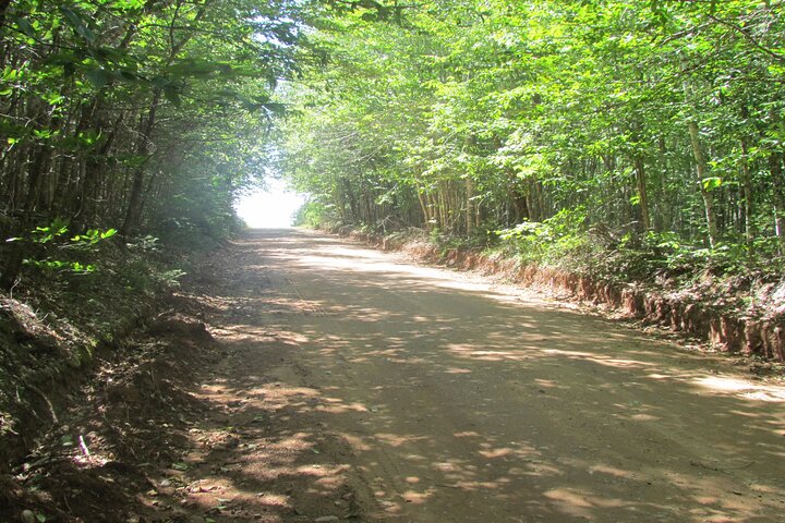 De ultieme privétour Anne of Green Gables