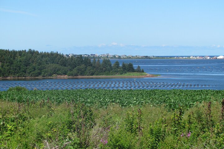 De ultieme privétour Anne of Green Gables