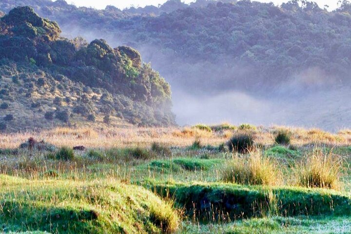 Trekking guidato Horton Plains Park e Worlds End da Nuwara Eliya