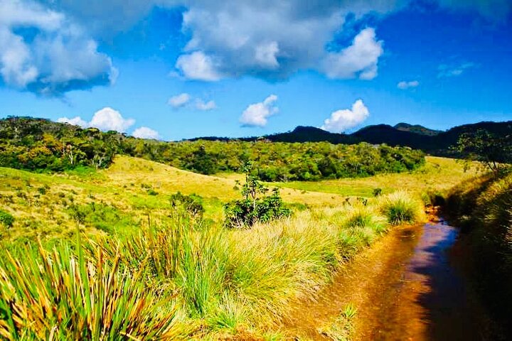 Trekking guidato Horton Plains Park e Worlds End da Nuwara Eliya