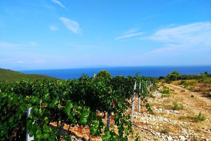 Korcula Buggy (Offizielle) Safari Tour - Lokales Essen & Weinprobe