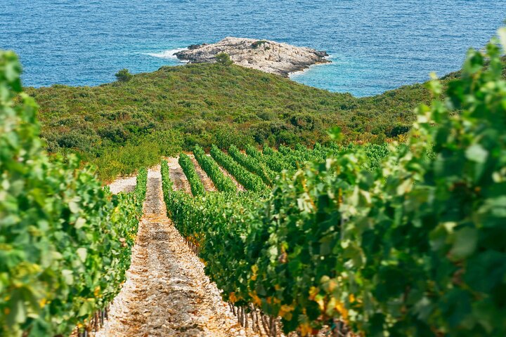 Korcula Buggy (Offizielle) Safari Tour - Lokales Essen & Weinprobe
