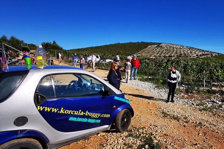 Korcula Buggy (Offizielle) Safari Tour - Lokales Essen & Weinprobe