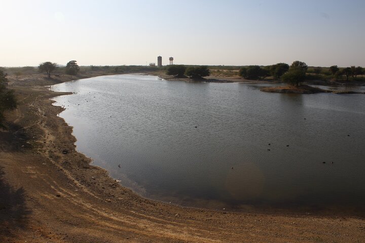 Bishnoi Village Safari Jodhpur Jeep Tour privado de medio día