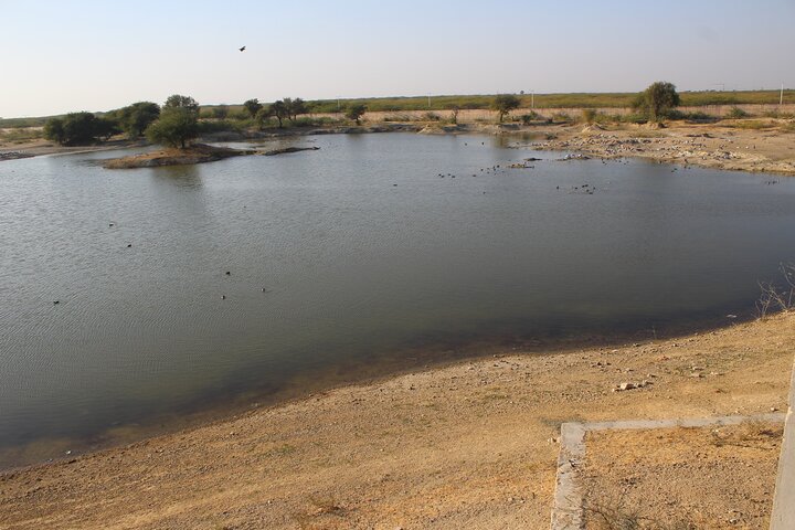 Bishnoi Village Safari Jodhpur Jeep Tour privado de medio día