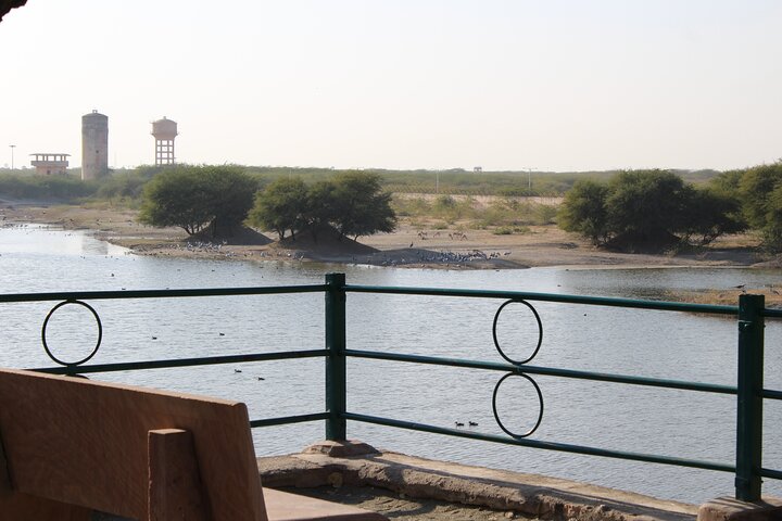 Bishnoi Village Safari Jodhpur Jeep Tour privado de medio día