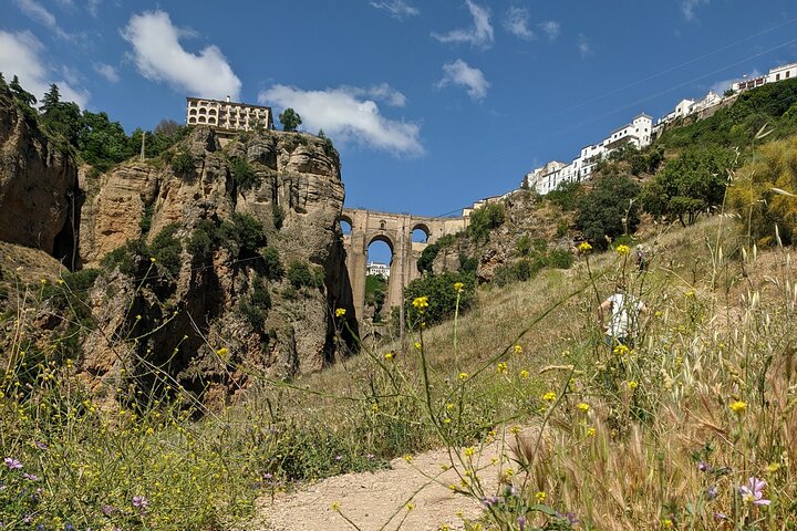 Tour giornaliero dei villaggi bianchi e di Ronda da Siviglia