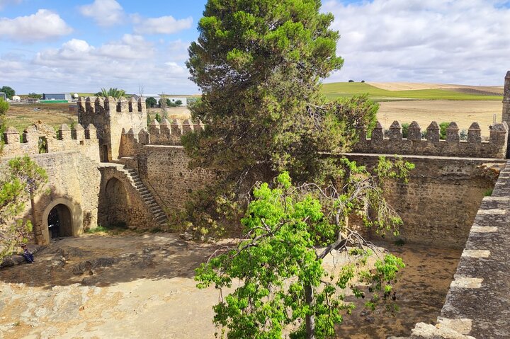 Tour giornaliero dei villaggi bianchi e di Ronda da Siviglia
