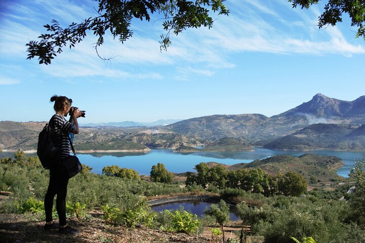 Tour giornaliero dei villaggi bianchi e di Ronda da Siviglia