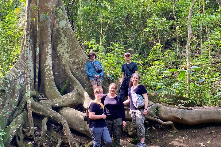 Rainforest Wildlife, Panama Hat-skapere, Tradisjonelt kjøkken. SHORE TOUR