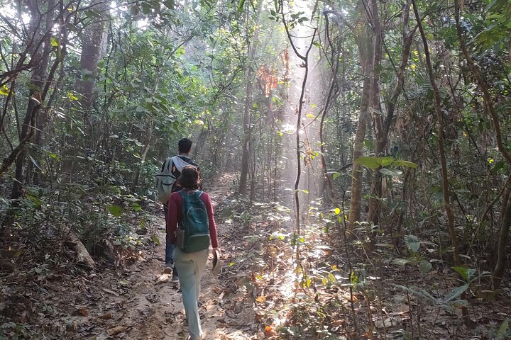 Randonnée d'une journée complète dans le jardin de thé et le parc national de Sreemangal