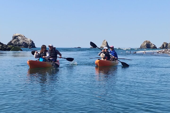 Ryska River Kayak Tour på den vackra Sonomakusten