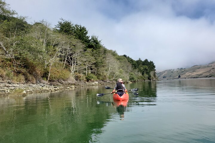 Ryska River Kayak Tour på den vackra Sonomakusten