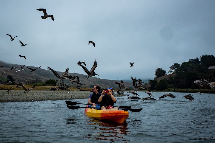 Ryska River Kayak Tour på den vackra Sonomakusten