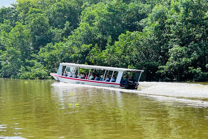 Medio día Canal de Tortuguero, Parque Nacional Cahuita y Puerto Limón