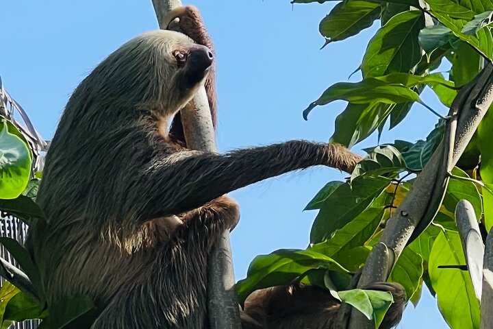 Medio día Canal de Tortuguero, Parque Nacional Cahuita y Puerto Limón