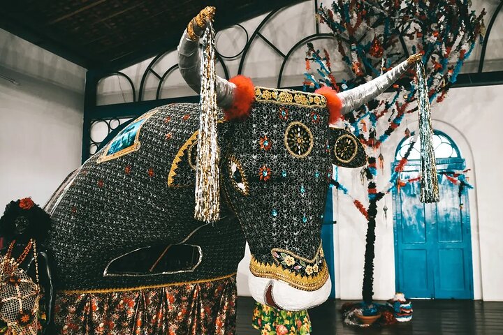 Privater Rundgang durch das historische Zentrum von São Luís do Maranhão