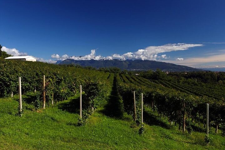 Prosecco vin tur med Sommelier – afhentning fra Treviso