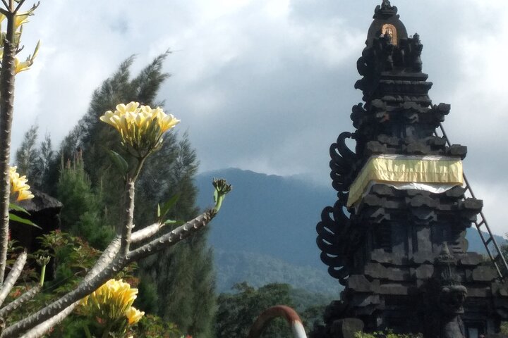 Jakarta Bogor Botanical Garden, Waterfall and Rice terrace, Lunch