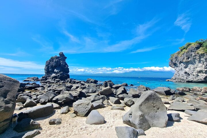 Excursión de un día a la isla de Apo desde Dumaguete con almuerzo y traslado