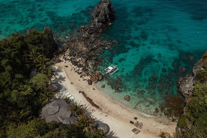 Excursión de un día a la isla de Apo desde Dumaguete con almuerzo y traslado