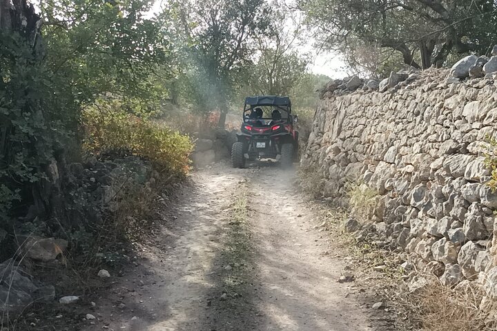 Albufeira Tour fuera de carretera de 3 horas Tour de aventura en buggy