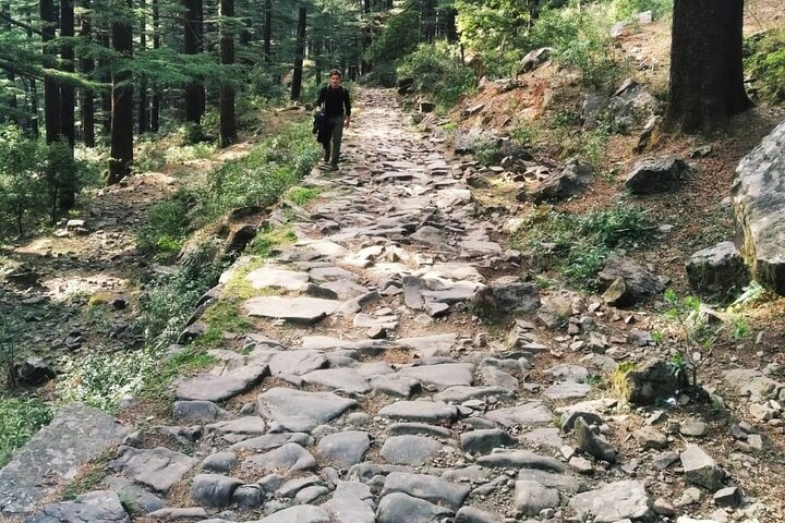 Excursão de Caminhada a Triund de Dharamshala
