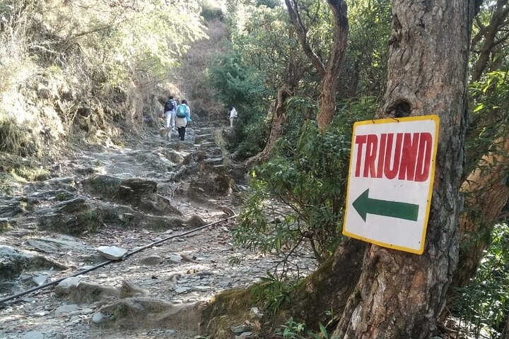 Excursão de Caminhada a Triund de Dharamshala