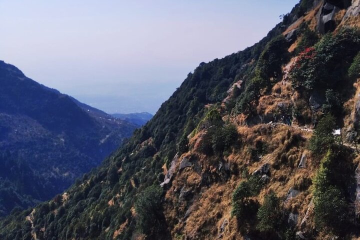Excursão de Caminhada a Triund de Dharamshala
