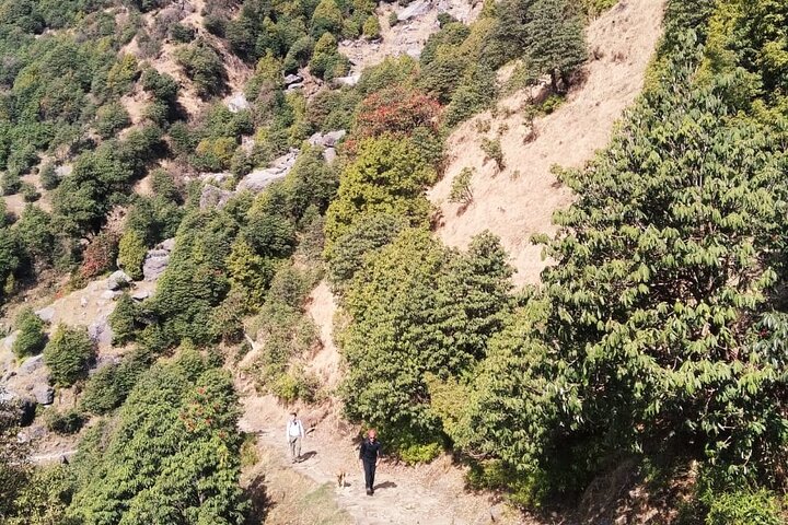Excursão de Caminhada a Triund de Dharamshala