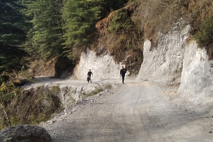 Excursão de Caminhada a Triund de Dharamshala