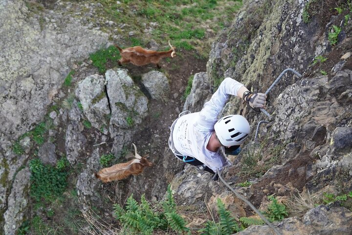 Attività di mezza giornata Arrampicata in Via ferrata Socastillo