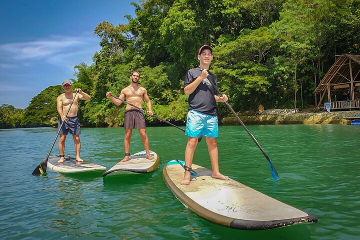 Bohol Countryside Tour: Chocolate Hills, Tarsier og Loboc River