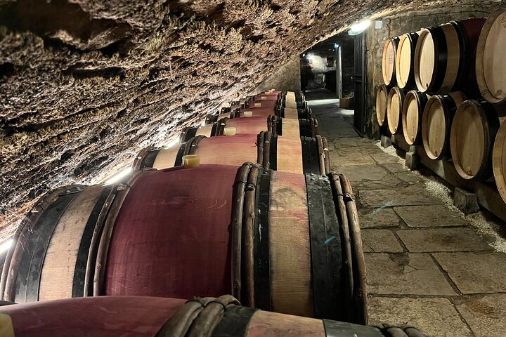Tour de um dia da Rota do Grande Crus da Bourgogne - 14 degustações de vinhos em domínios