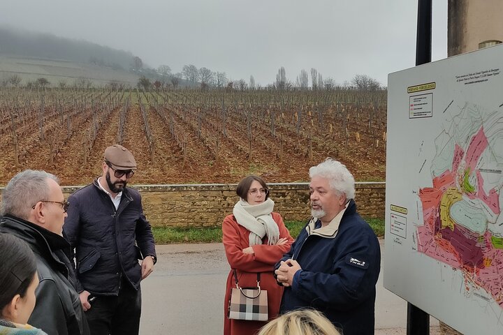 Tour de um dia da Rota do Grande Crus da Bourgogne - 14 degustações de vinhos em domínios