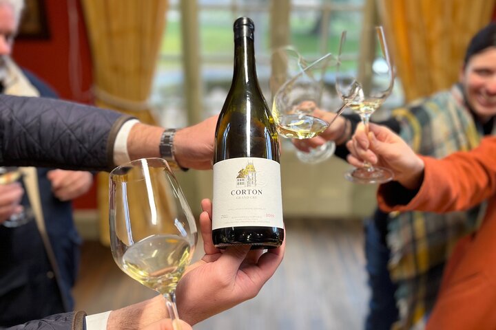 Tour de um dia da Rota do Grande Crus da Bourgogne - 14 degustações de vinhos em domínios